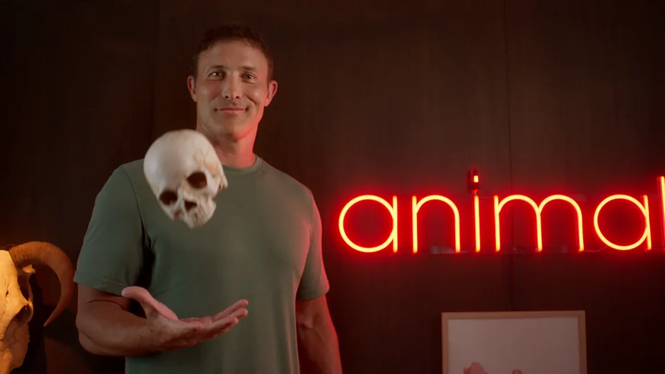 animal. documentary still