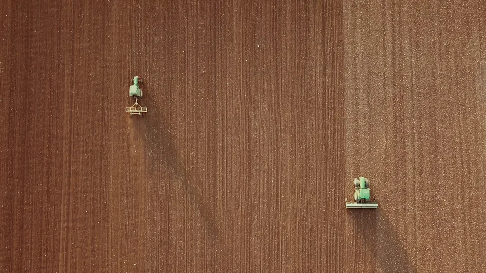 animal. documentary still